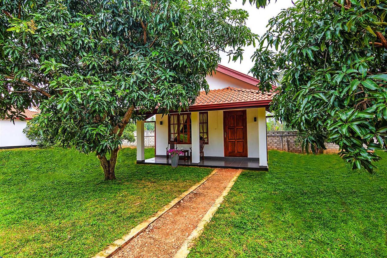Dambulla Hills Resort Exterior foto