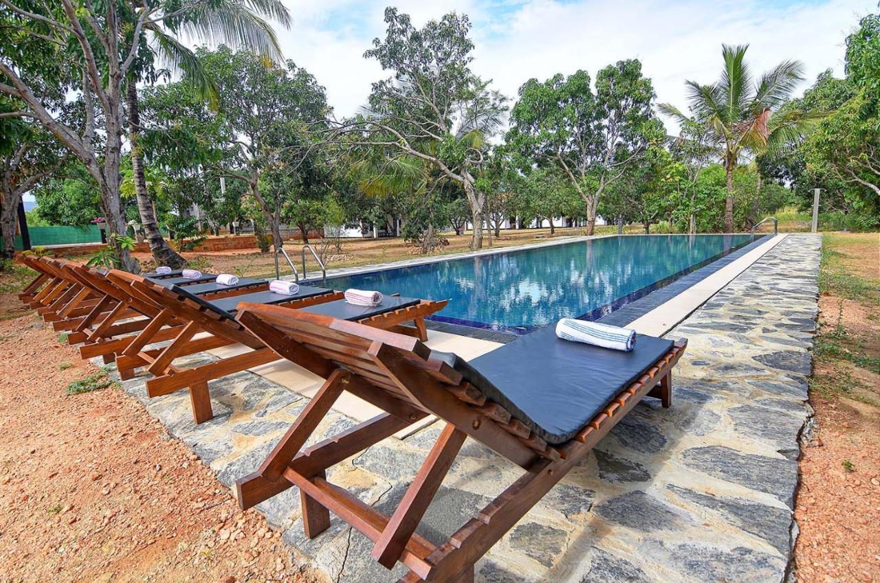 Dambulla Hills Resort Exterior foto